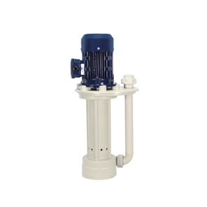 In-tank vertical pump with round plate
